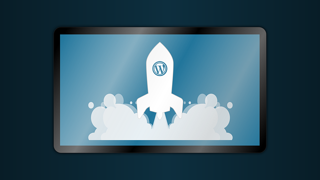 WordPress's Availability of plugins