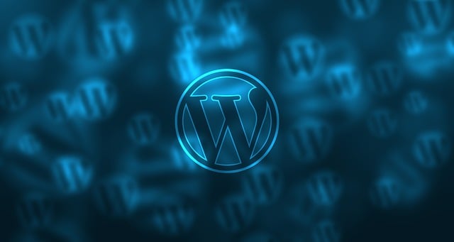 wordpress development dubai