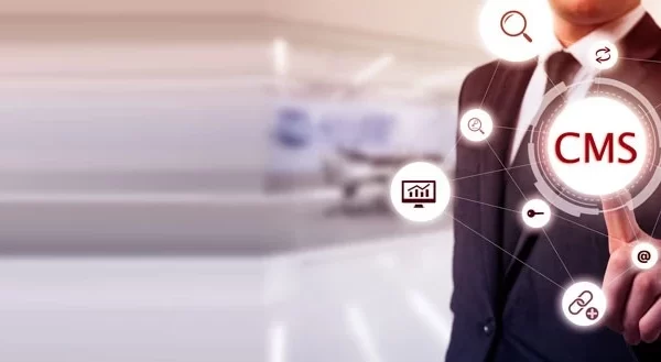 website development company in dubai